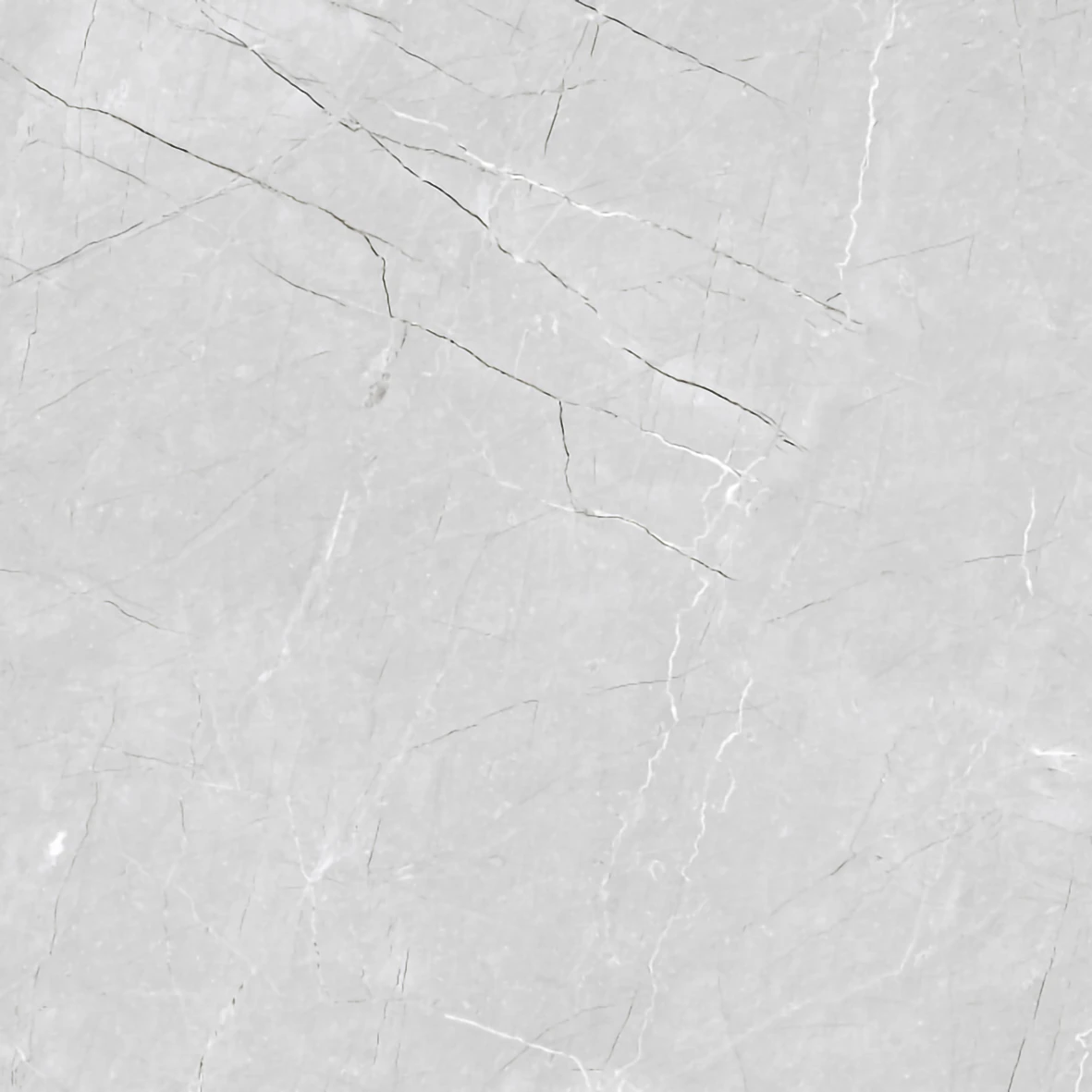 SILVER MIST 1181