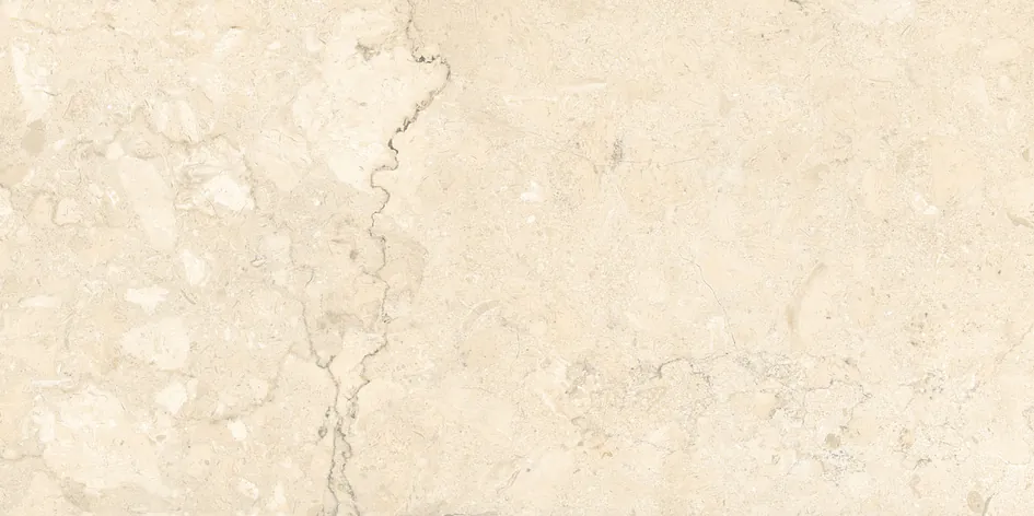 4125 Tropical Creama GVT Tile - Image 3