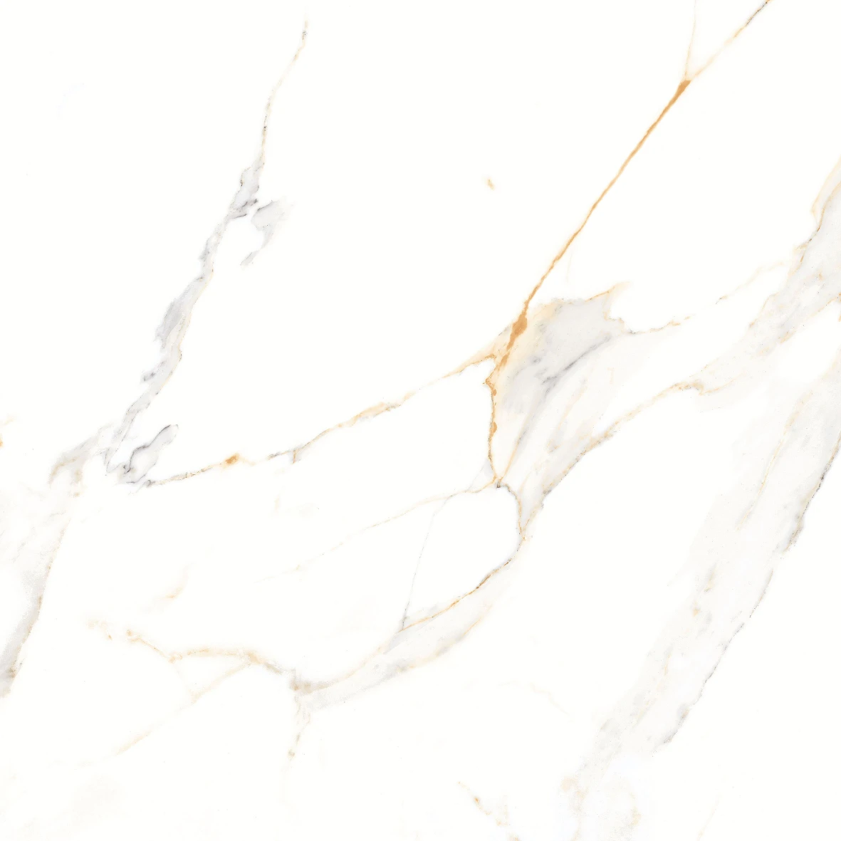 REGAL CARRARA 6202