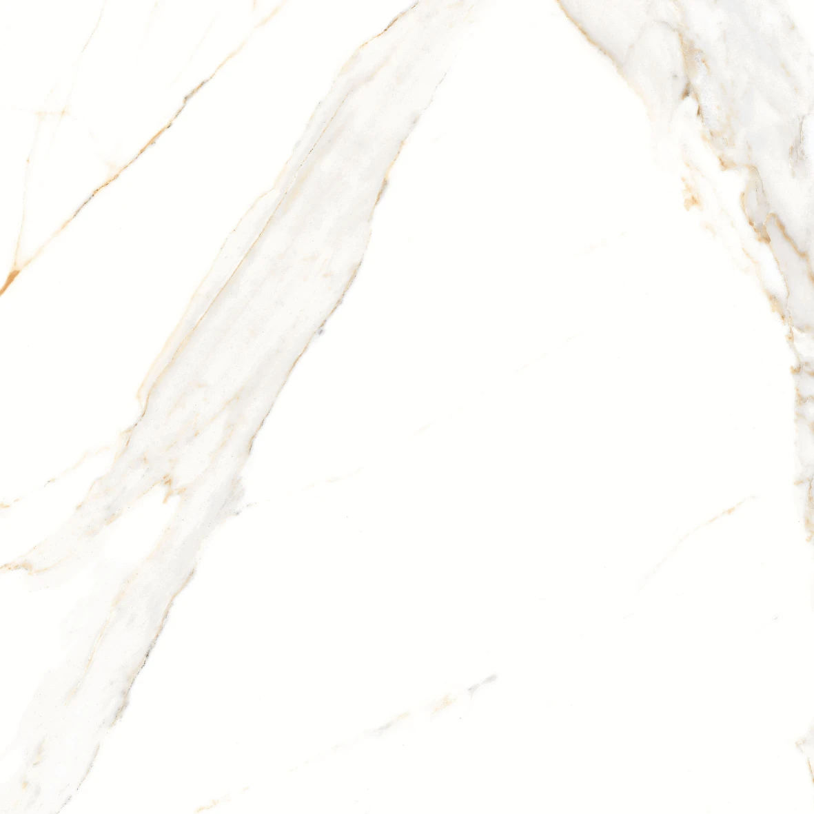 REGAL CARRARA 6202