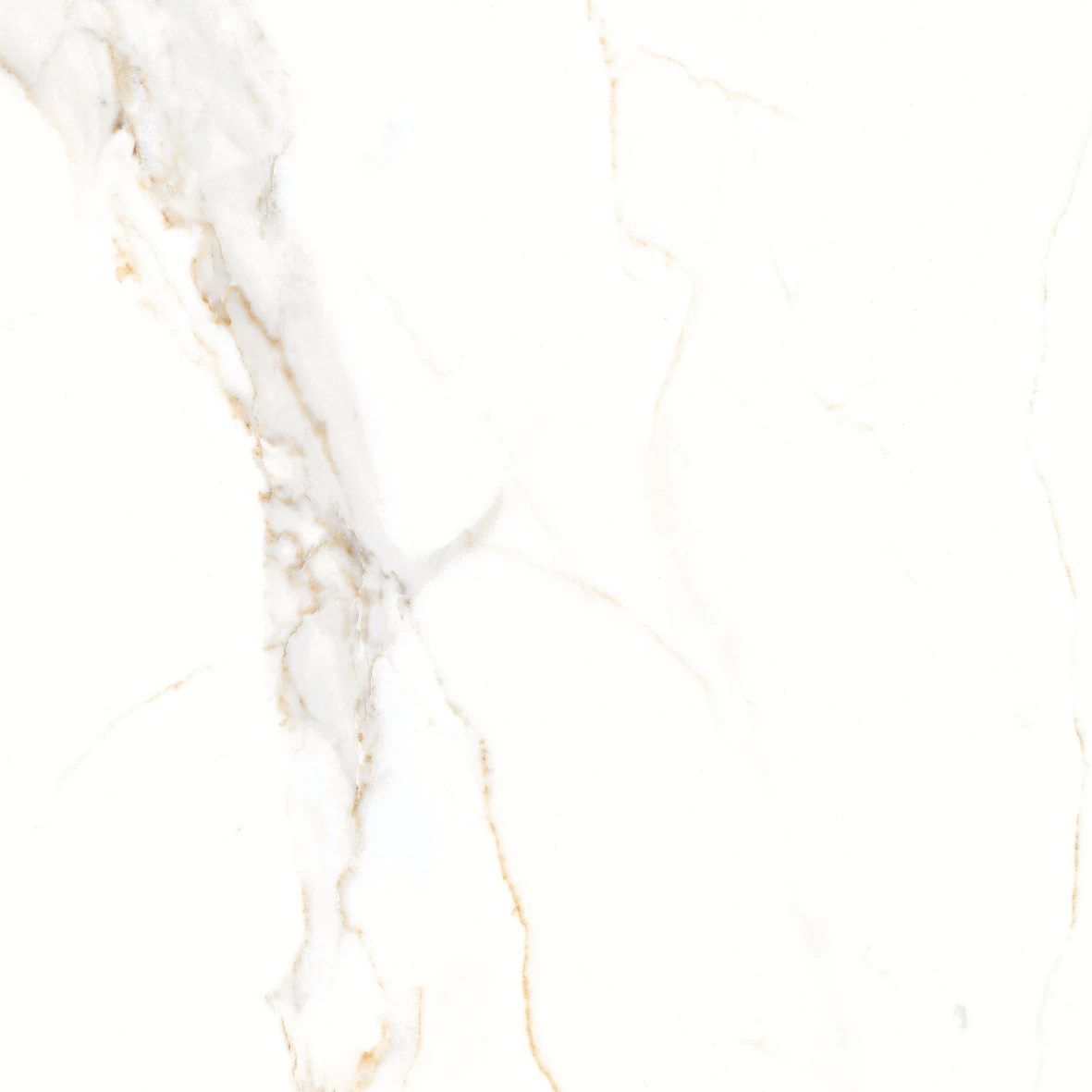 REGAL CARRARA 6202