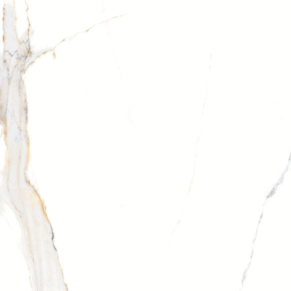 REGAL CARRARA 6202