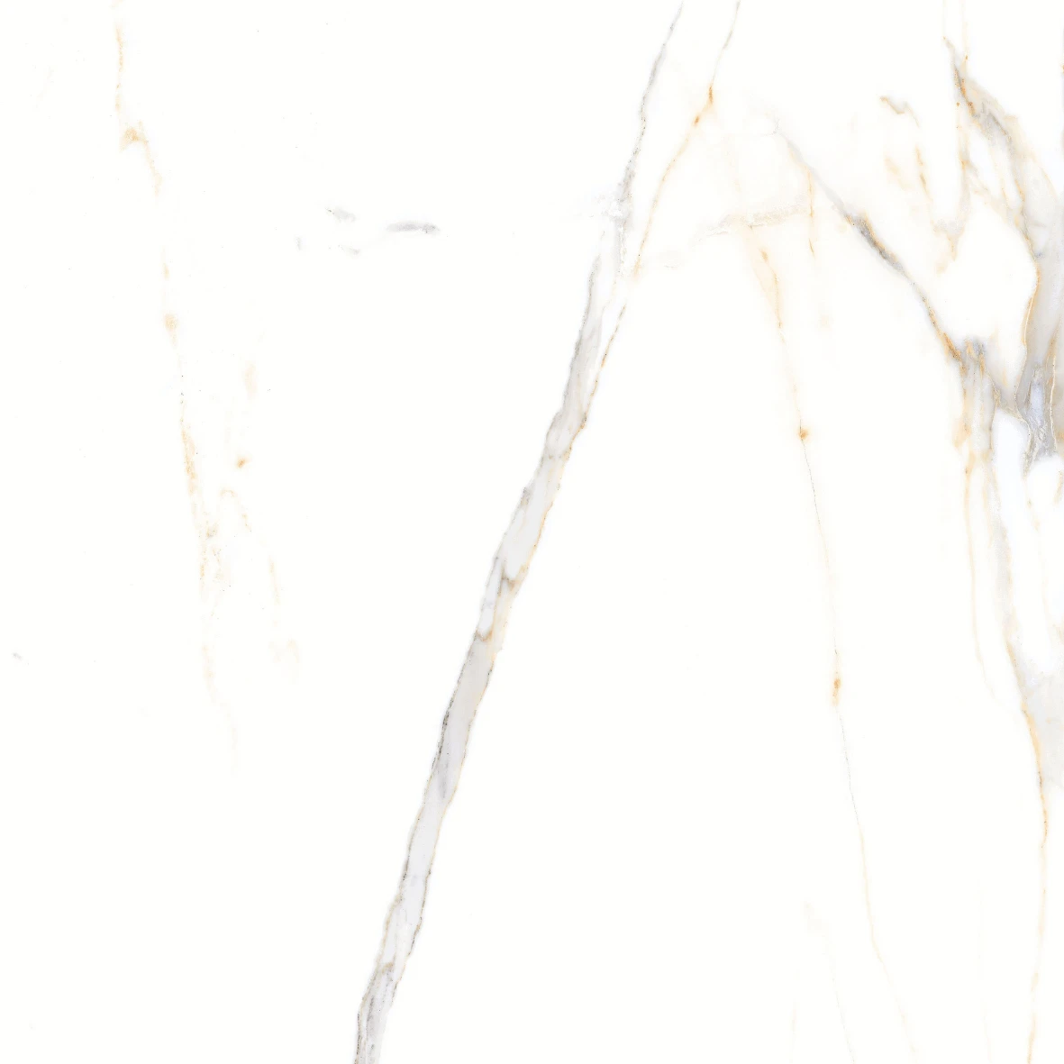 REGAL CARRARA 6202