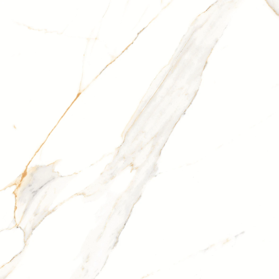 REGAL CARRARA 6202