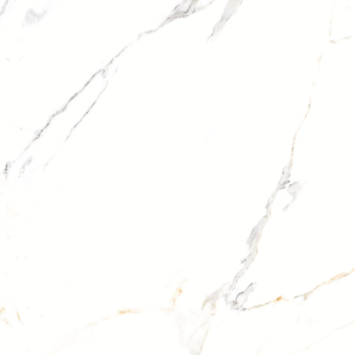 REGAL CARRARA 6202