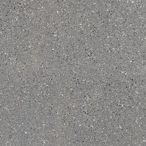 Wonicy Grey GVT 800x800mm