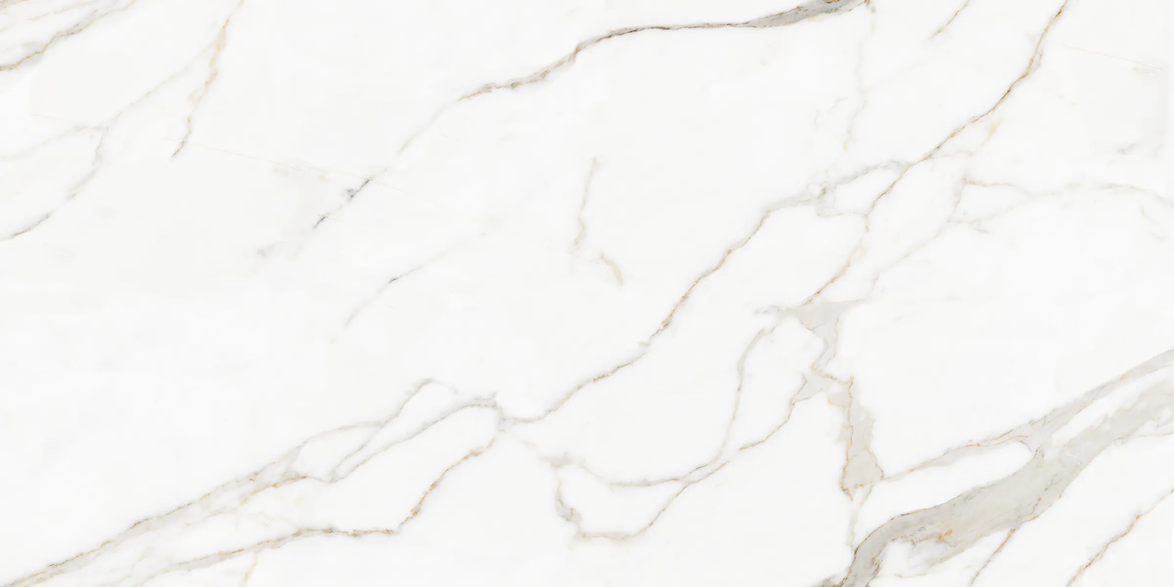 Calacatta Roman Beige - Image 2