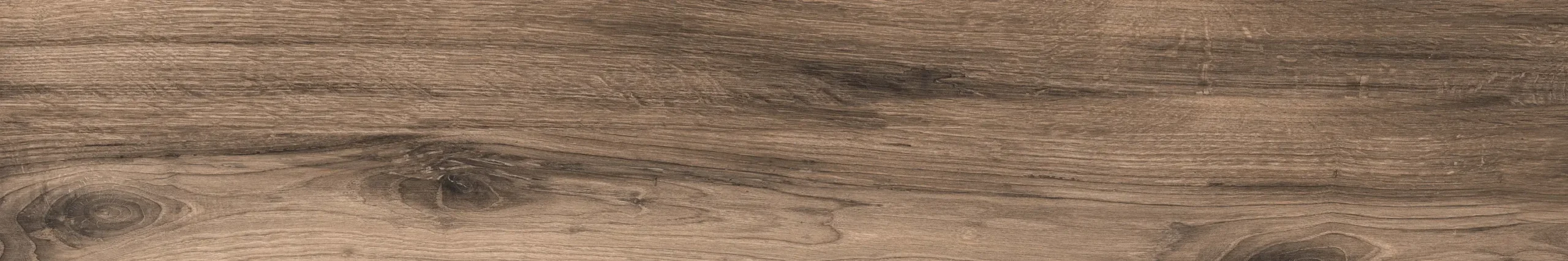 MAPLE COLOR COFFEE