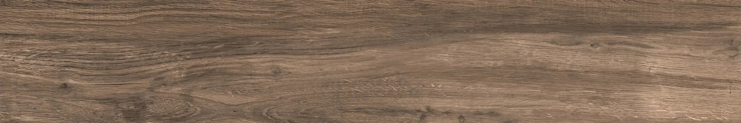 MAPLE COLOR COFFEE - Image 6
