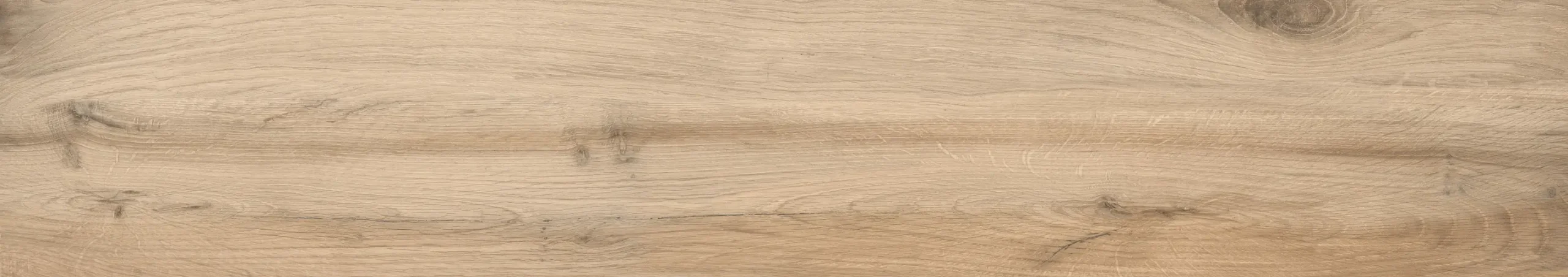 MAPLE COLOR OLIVE - Image 9