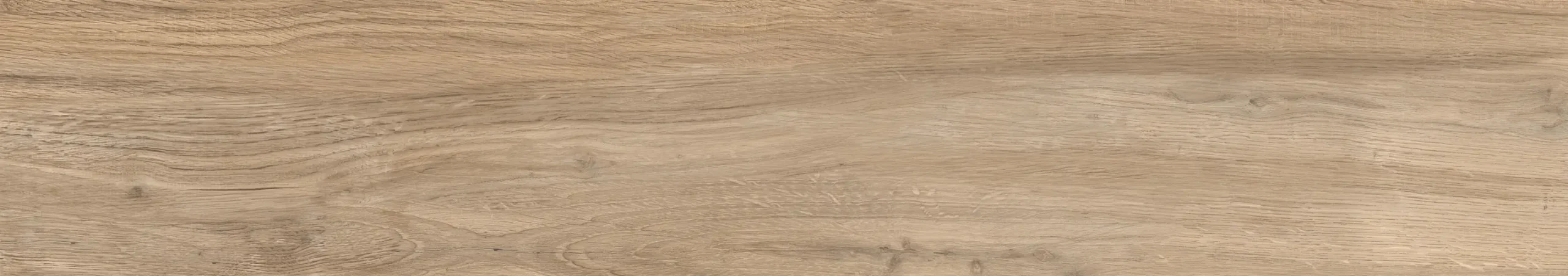 MAPLE COLOR OLIVE - Image 5