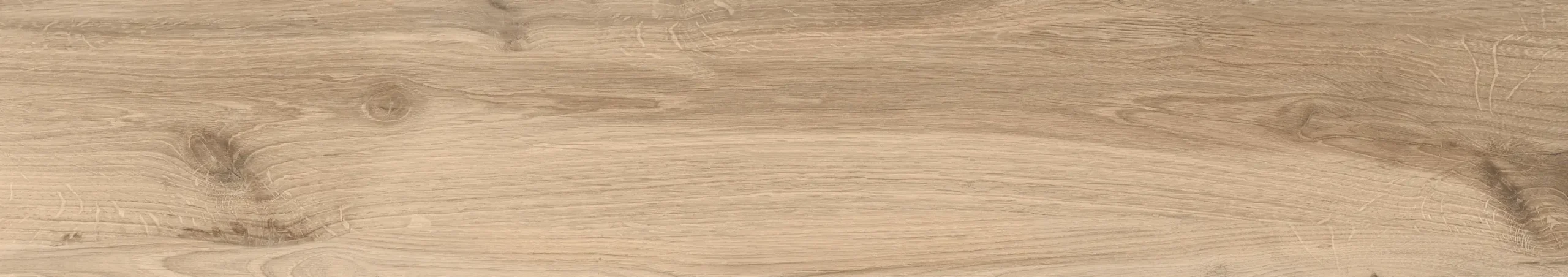 MAPLE COLOR OLIVE - Image 4