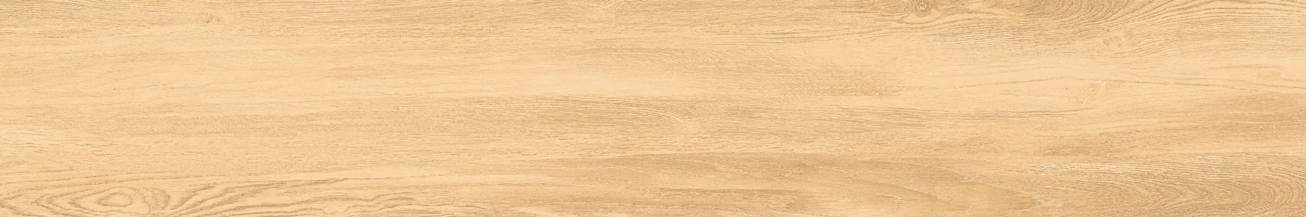 MONTANA HONEY - Image 7