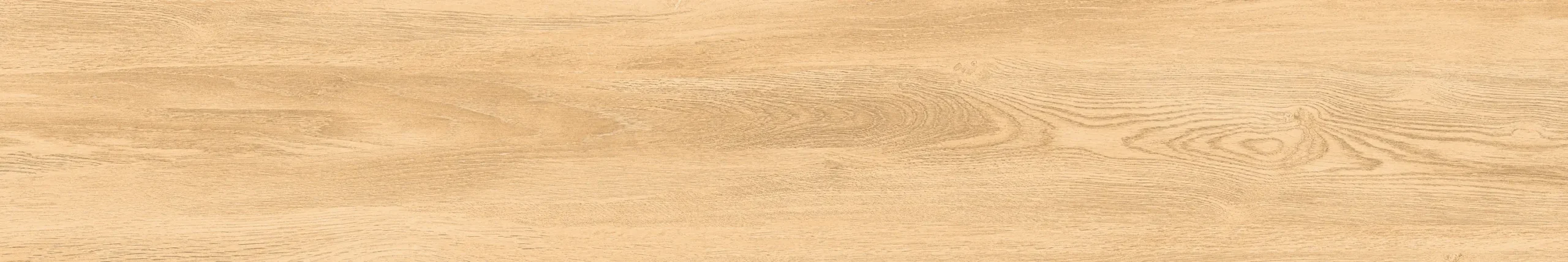MONTANA HONEY - Image 5