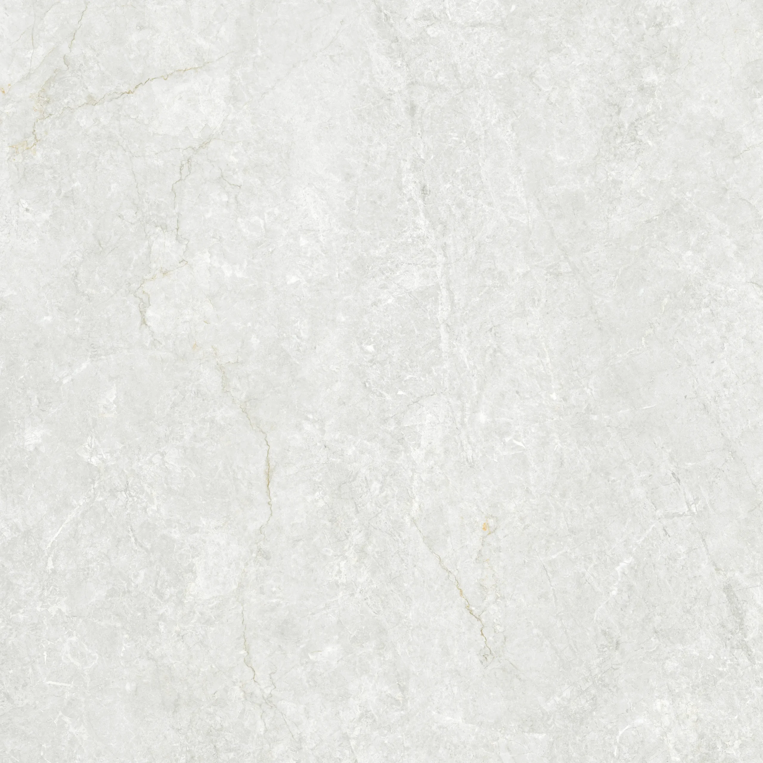 Perla Birch - Image 2