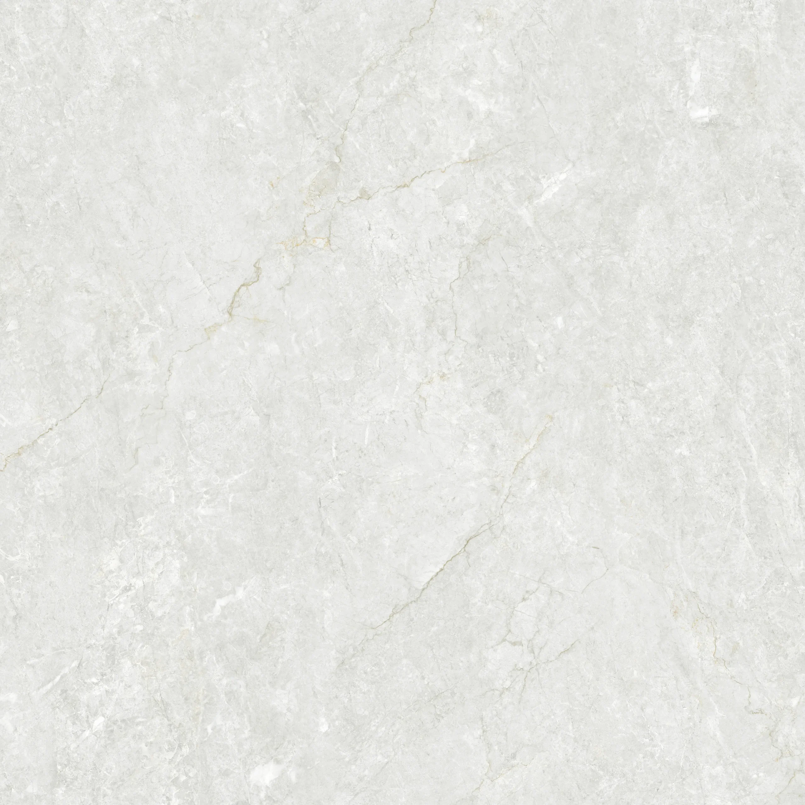 Perla Birch - Image 3