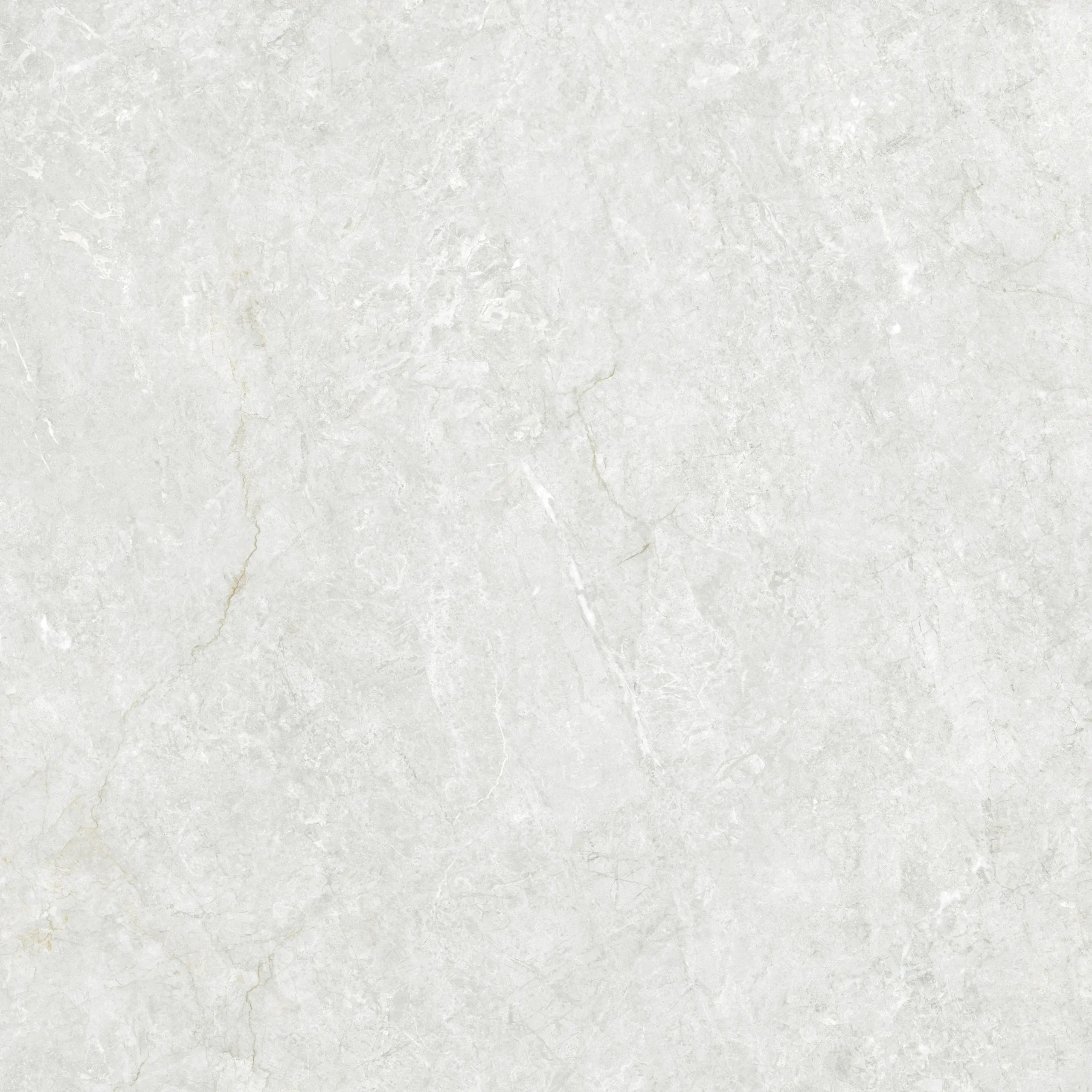 Perla Birch - Image 4
