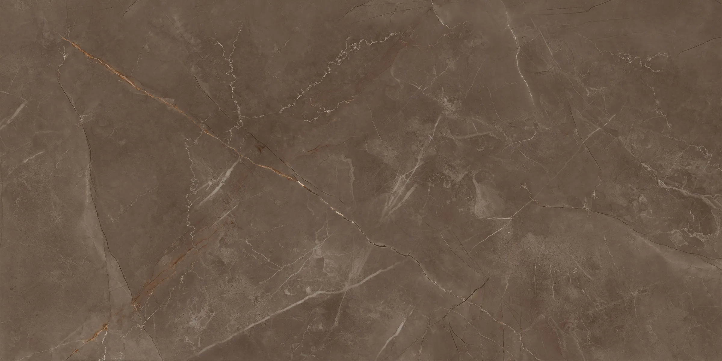 Signoria Brown - Image 3
