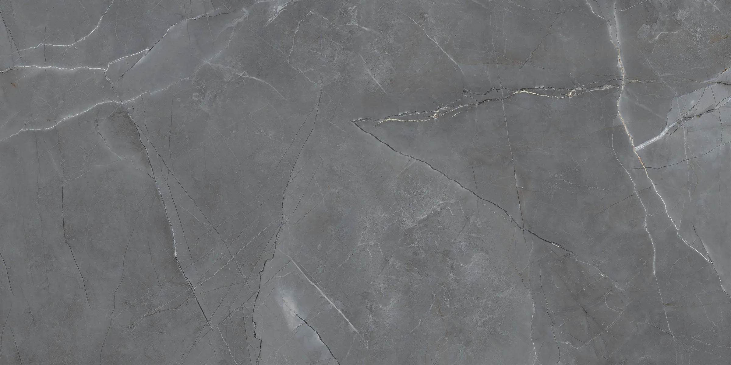 Signoria Grey