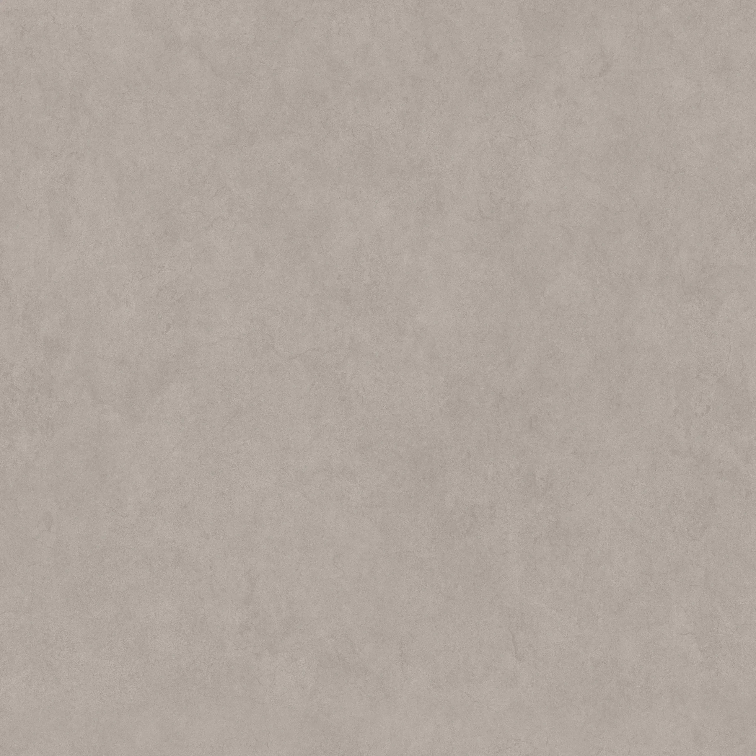 Softone Champagne - Image 2